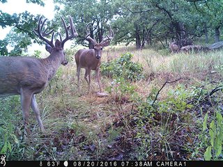 Property photo 63 - LAND AUCTION - 440+/- ACRES OFFERED IN 17 TRACTS IN OSAGE CO., OKLAHOMA